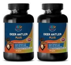 bodybuilding vitamins – DEER ANTLER PLUS 550mg (2B) – pantocrin for muscles