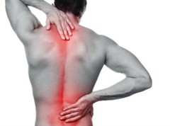 anti inflammatory supplement back pain – PAIN RELIEF COMPLEX 610MG green tea 2B