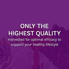 Host Defense MyCommunity Immune Support Powder Fungi Perfecti 3.5 oz