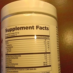 BiOptimizers Mushroom Breakthrough Chocolicious 5g Lion&rsquo;s Mane 9.6 oz