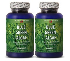 Strong Antioxidant Fat Burner – Organic Blue Green Algae – Blue Green Cell 2B