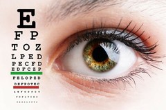 vision formula 50+ – MAX EYE VISION HEALTH – grape seed extract capsules 1B