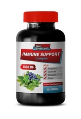 antioxidant vitamin c – IMMUNE SUPPORT COMPLEX – garlic supplement 1B