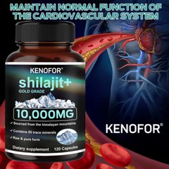 Himalayan Shilajit 10000mg Maximum Potency Organic Fulvic Acid 30 To 120 Caps