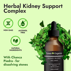 Kidney Support and Urinary Tract Support with 7 Plant Extracts Optimal Kidney