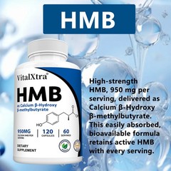 Calcium β Hydroxy β Methylbutyrate Endurance Enhance Protein Synthesis 120 Caps