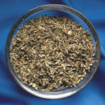 Damiana